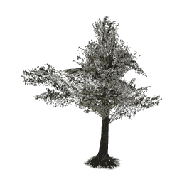 objects/dyn_cam_tree_a.png