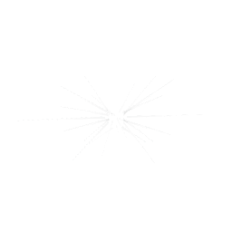 objects/dyn_discoray_silver.png