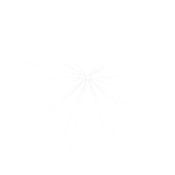 objects/dyn_discoray_silver_b.png