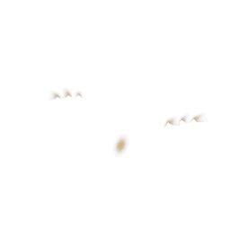 objects/dyn_fx_turnbull_b.png