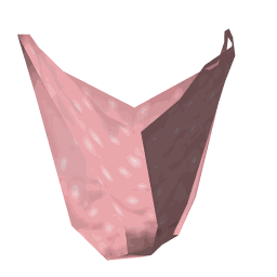 objects/dyn_panty.png