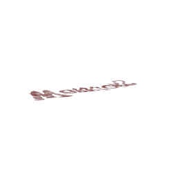 objects/dyn_warrtag_brnr.png
